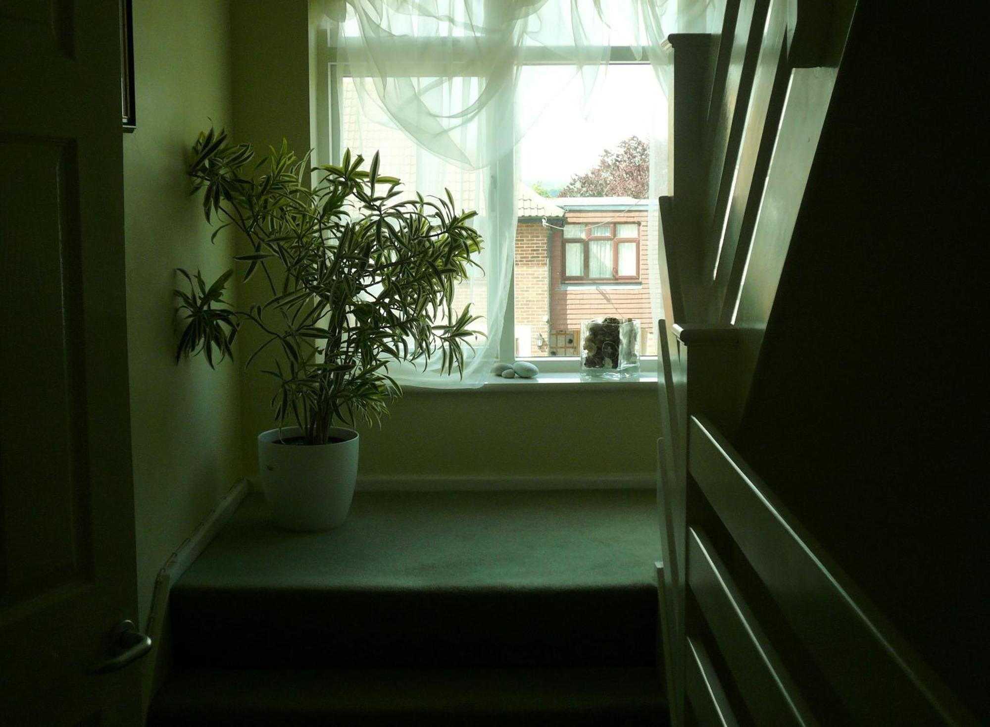 Malvern House ハイワイクーム エクステリア 写真